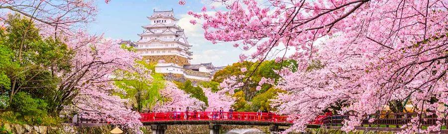 Cover Image for Spring Flower Viewing Destinations