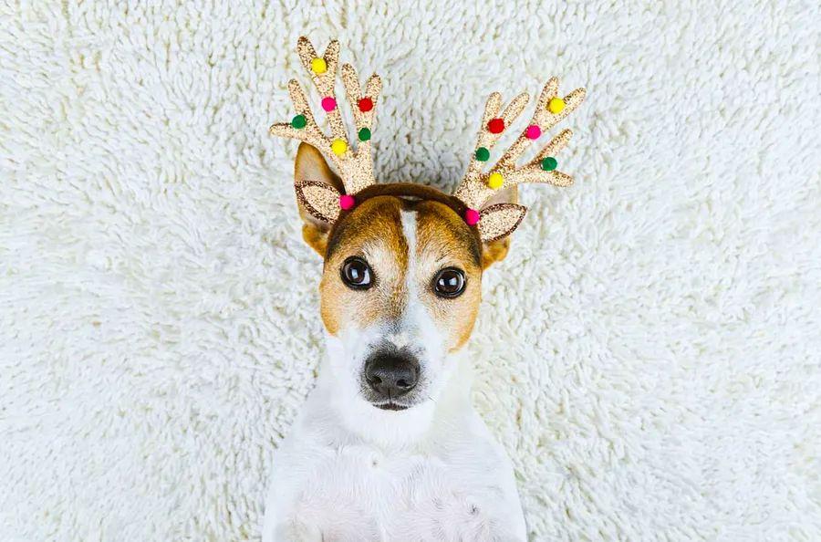 Cover Image for 100 Cheerful Holiday Captions and Quotes for Instagram