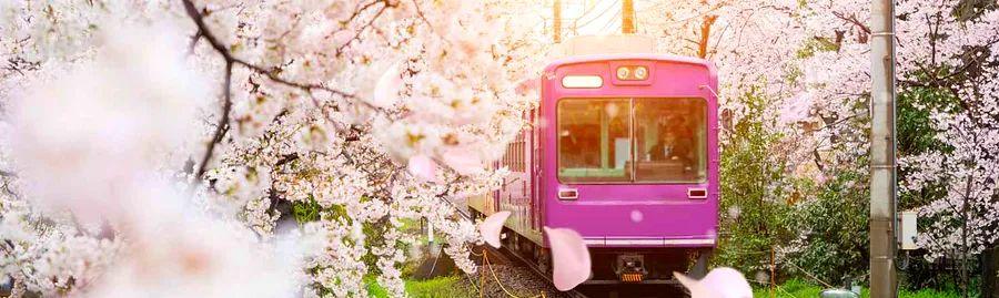 Cover Image for Exploring Kyoto, Japan