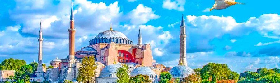 Cover Image for Event: Tulip Festival in Istanbul, Turkey