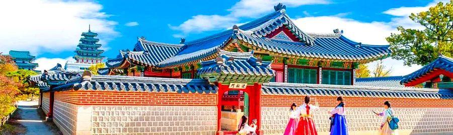 Cover Image for Event: Seollal - Korean Lunar New Year Celebration