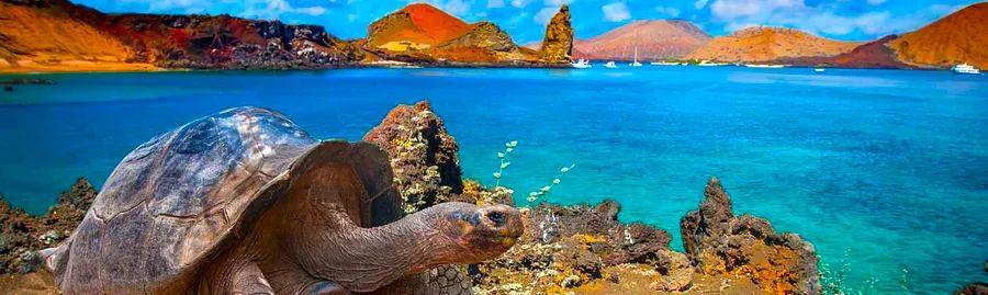 Cover Image for Leading Ecotourism Destinations Around the Globe