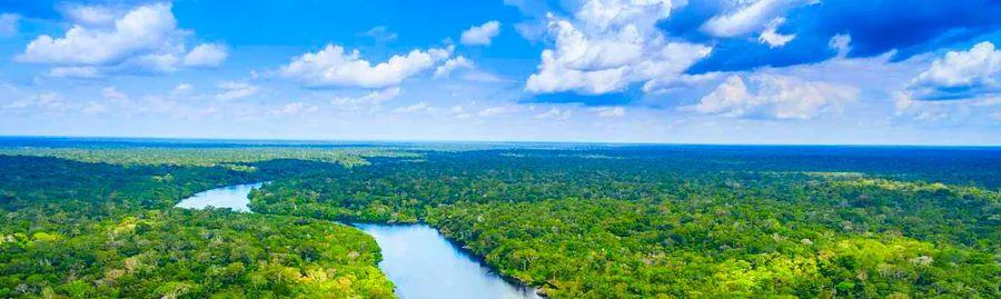 Cover Image for Ecotourism vs. Sustainable Tourism: Understanding the Differences