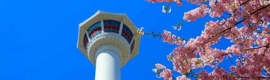 Cover Image for 7 Must-Visit Instagram Spots in Busan