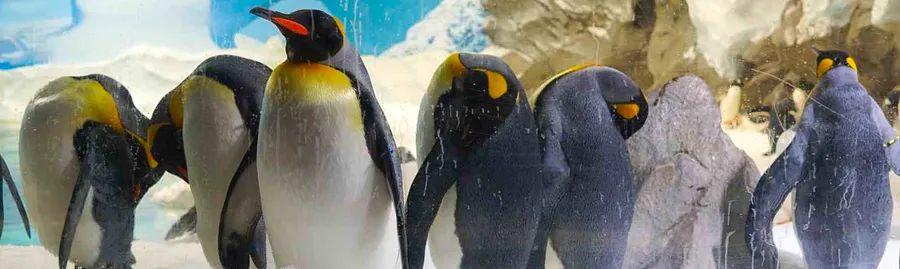 Cover Image for How to Enjoy Winter in Sydney: 12 Must-Do Activities