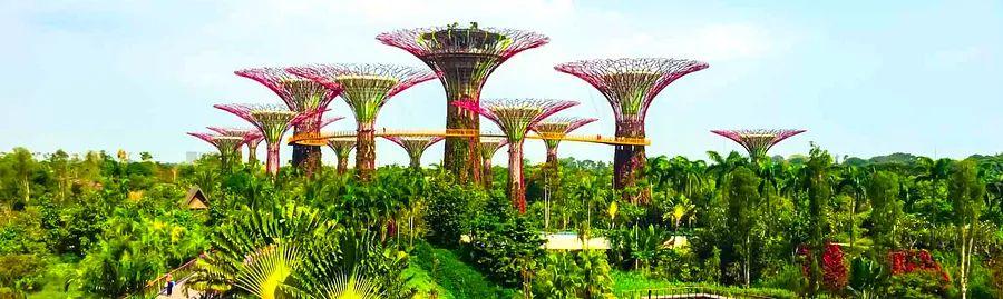 Cover Image for 10 Fun-Filled Playdates in Singapore for Memorable Weekends