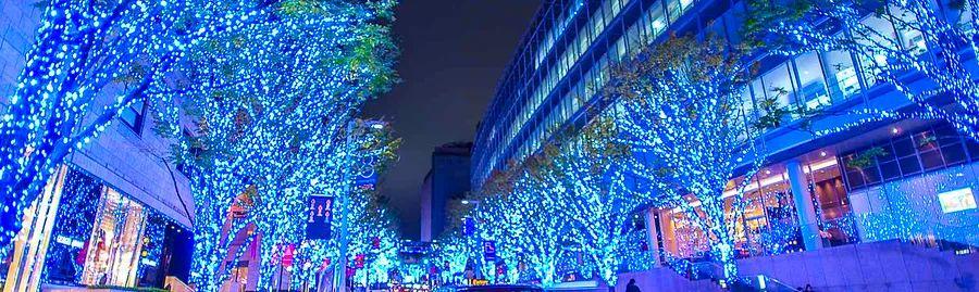 Cover Image for A Magical Winter Wonderland: December Activities in Japan