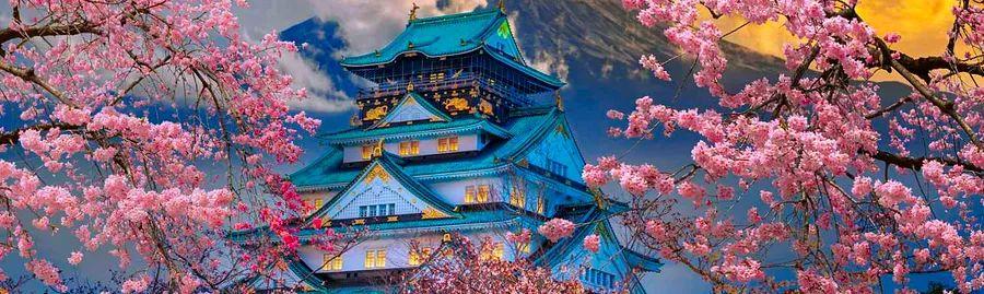 Cover Image for Top 10 Activities to Experience in Osaka This Spring