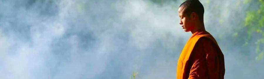 Cover Image for The Significance of Vesak Bochea in Cambodia