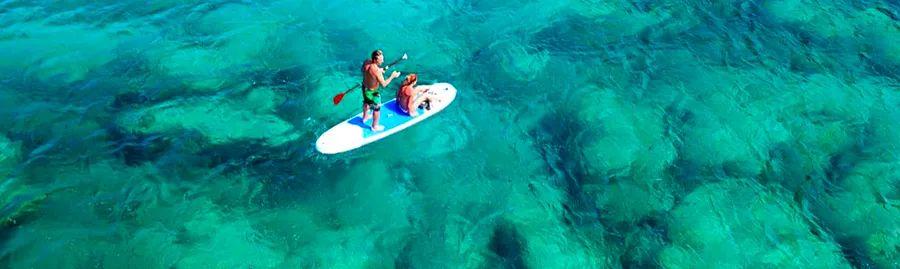 Cover Image for Aquatic Adventures in New South Wales