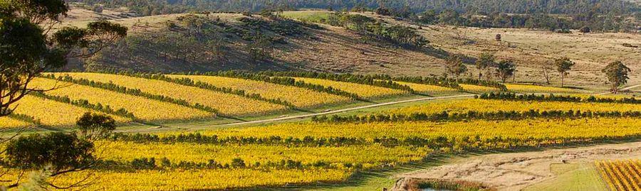 Cover Image for Embark on an Unforgettable Adventure: 6 Must-Do Experiences in Tasmania