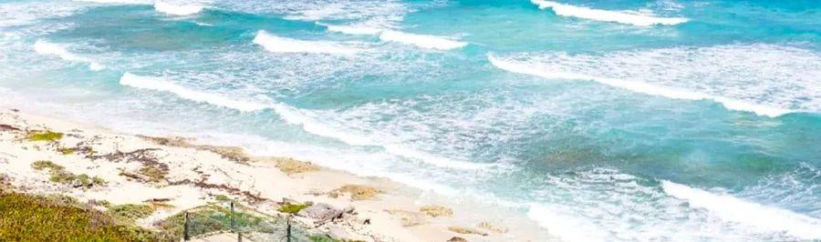 Cover Image for 7 Must-Do Activities in Cozumel, Mexico