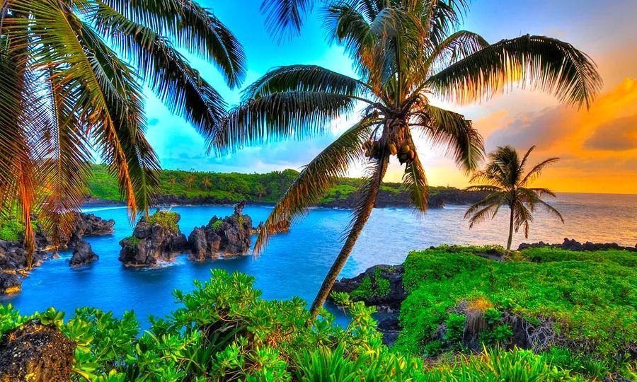 Cover Image for Top Travel Ideas for a 50th Birthday Celebration