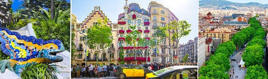 Cover Image for 15 Essential Experiences in Barcelona
