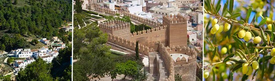 Cover Image for Top 9 Activities to Experience in Màlaga