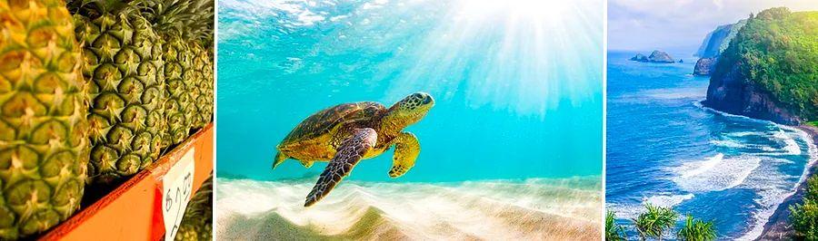 Cover Image for Top 10 Activities to Experience in Maui