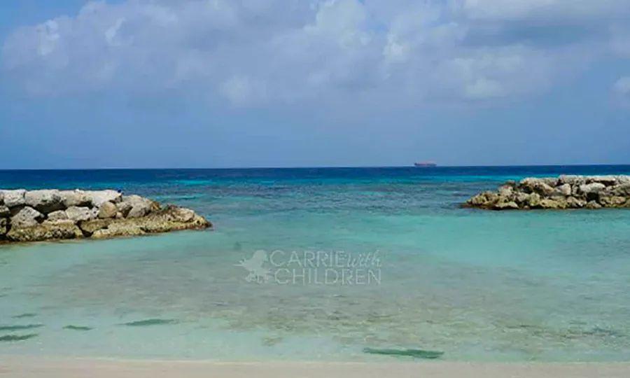 Cover Image for A Tropical Adventure in Aruba's Port