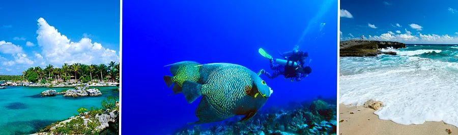 Cover Image for 12 Incredible Activities to Experience in Cozumel