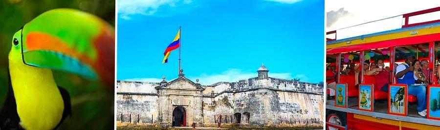 Cover Image for Top 6 Activities to Experience in Cartagena