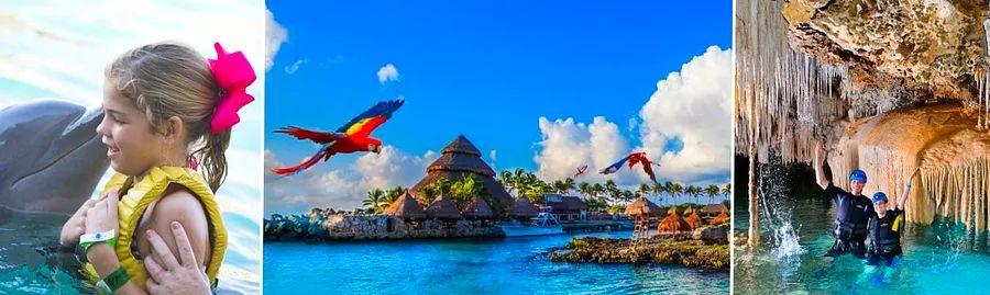 Cover Image for The 10 Must-Experience Shore Excursions in Cozumel