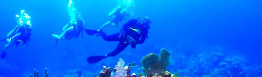 Cover Image for 16 Exciting Reasons Why 20-Somethings Should Set Sail on a Cruise