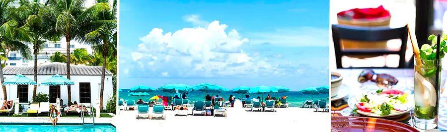 Cover Image for Must-Do Activities in Miami Before & After Your Dinogo Cruise