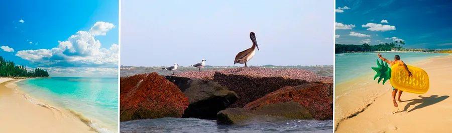 Cover Image for 10 Tropical Getaways You Can Experience on a Cruise from Galveston