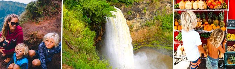 Cover Image for Exploring Hawaii with Dinogo | Kauai