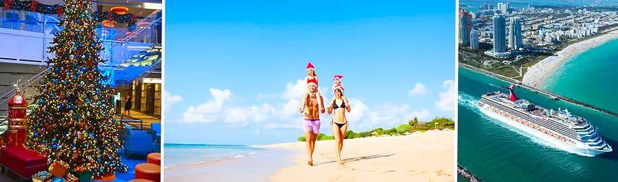 Cover Image for What to Anticipate on a Dinogo Christmas Cruise