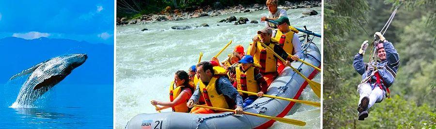 Cover Image for Top 8 Activities to Experience in Juneau