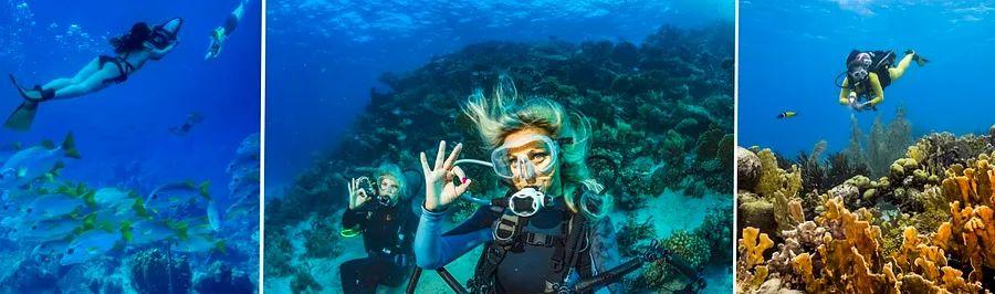 Cover Image for Top 10 Destinations for Snorkeling and Diving in the Western Caribbean