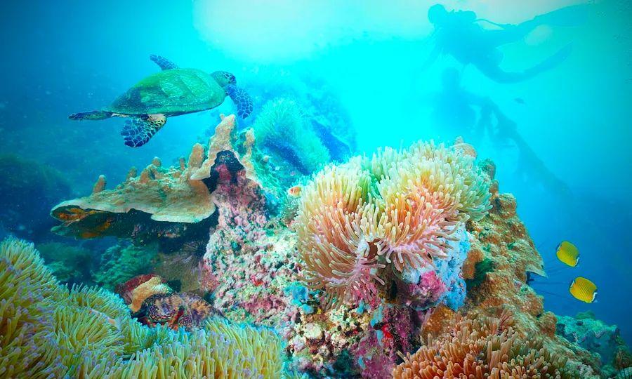 Cover Image for Exploring the World Can Reveal Its Wonders to Your Children