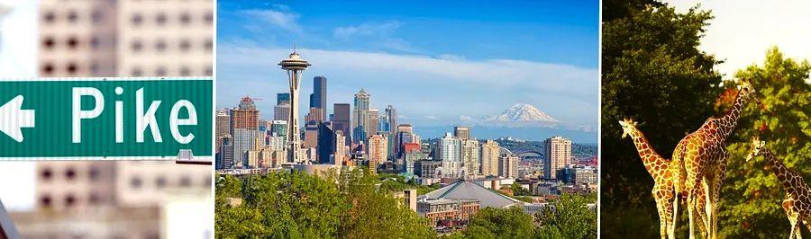 Cover Image for Why Experiencing Seattle is Essential Before Your Alaska Cruise