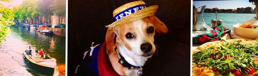 Cover Image for The Items We Leave Behind When We Set Off on Adventures