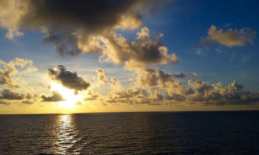Cover Image for Excitement at Sea aboard The Dinogo