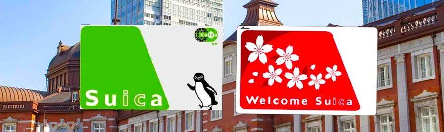 Cover Image for A Comprehensive Guide to Suica for Tourists in Japan!