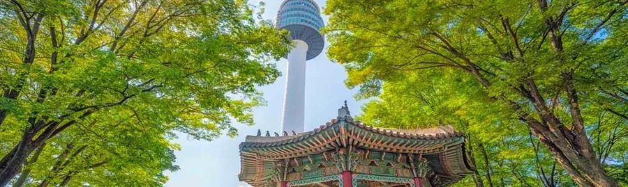 Cover Image for Best Neighborhoods to Stay in Seoul: Experience Your First Holiday in Korea!