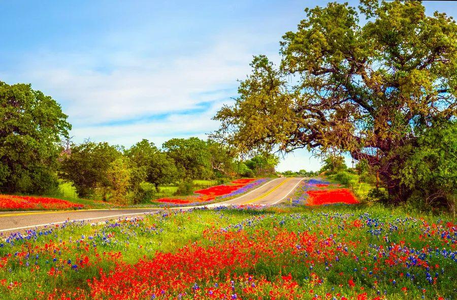 Cover Image for Explore 3 distinctive road trips you can enjoy from Houston, all within a four-hour drive.