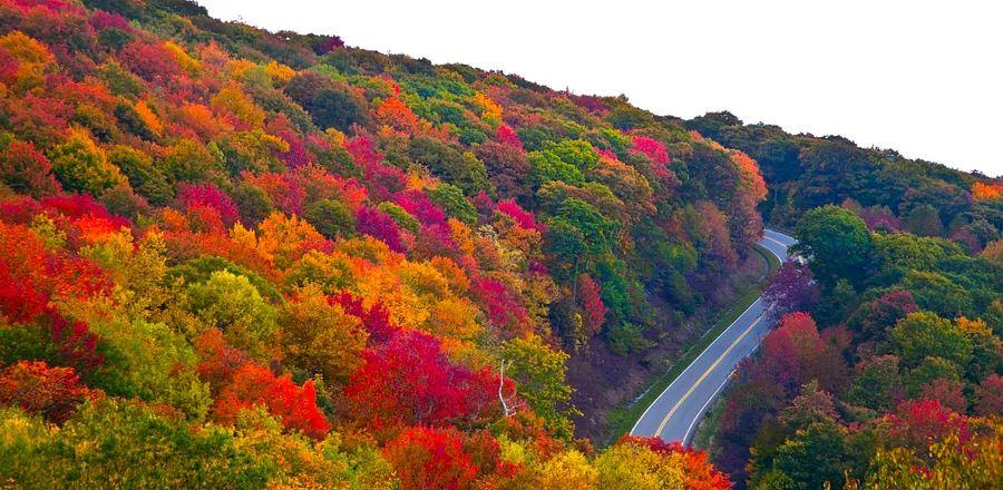 Cover Image for Top Autumn Foliage Drives in the U.S.