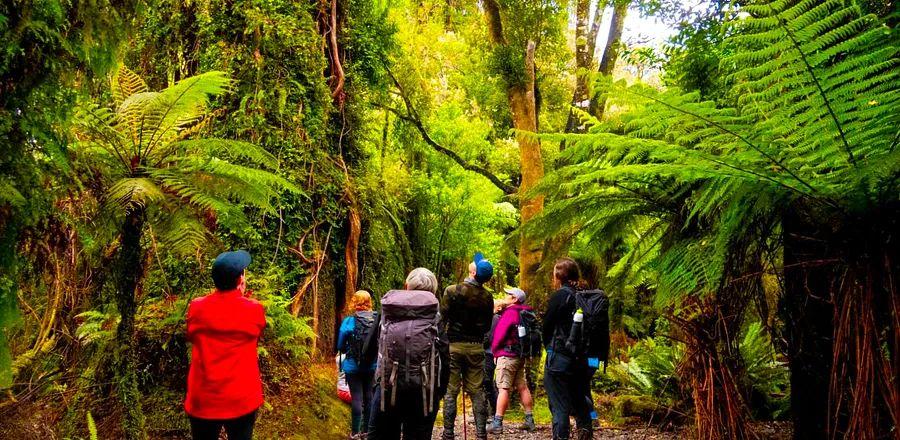 Cover Image for 7 Meaningful Ways to Engage with Māori Culture in New Zealand