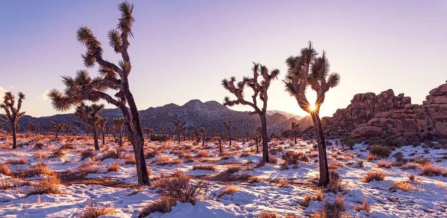 Cover Image for The Ultimate Winter Road Trips in the U.S.