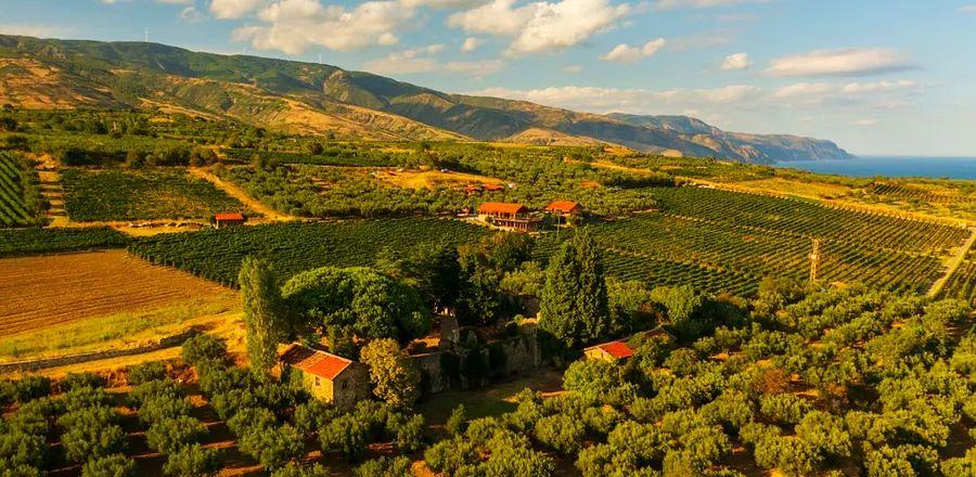 Cover Image for Explore Türkiye’s Historic Wine Route