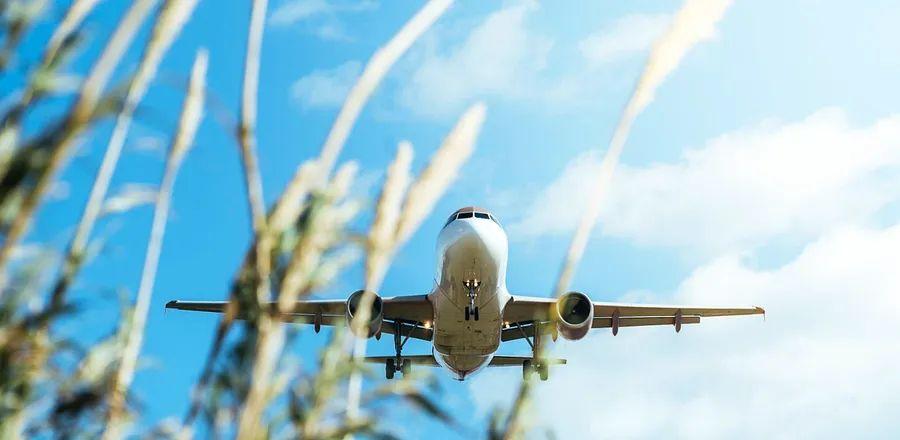 Cover Image for What Is Sustainable Aviation Fuel, and Is It Truly a Greener Alternative for Flying?