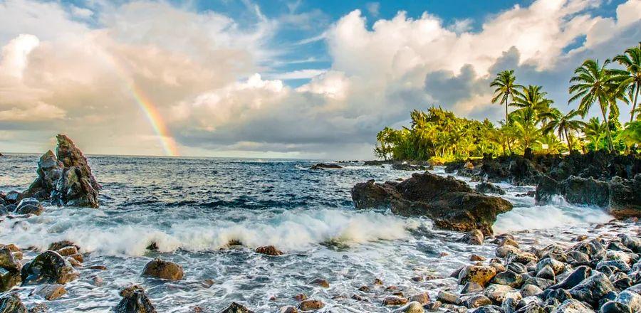 Cover Image for Hawai‘i Will Not Mandate Booster Shots After All