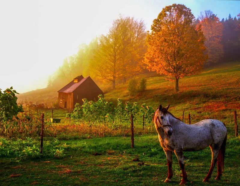 Cover Image for Family Road Trip Attractions in Vermont