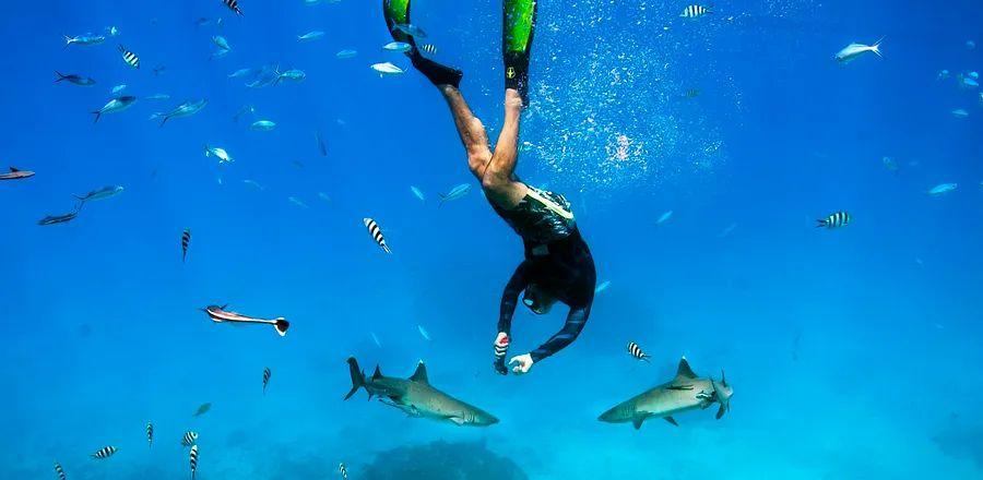 Cover Image for In Fiji, an Exquisite Underwater Paradise Awaits