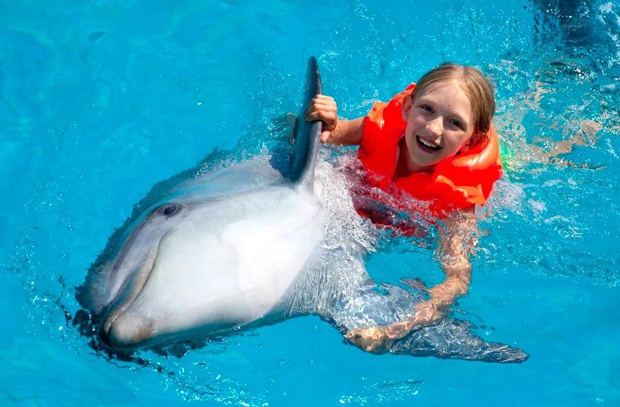 Cover Image for Best Family-Friendly Shore Excursions in the Caribbean