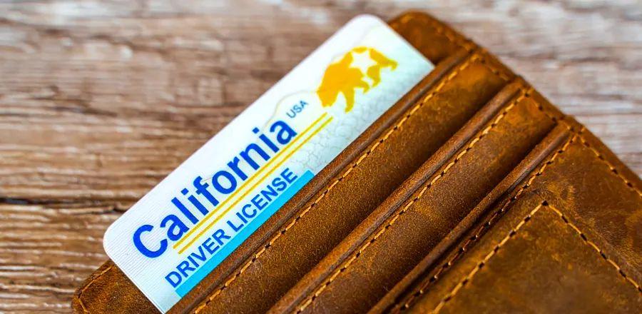 Cover Image for Is It Possible to Fly with an Expired Driver’s License?