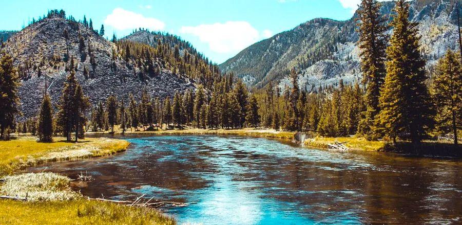 Cover Image for Explore Some of the Most Stunning U.S. National Parks with These New Cruise Itineraries