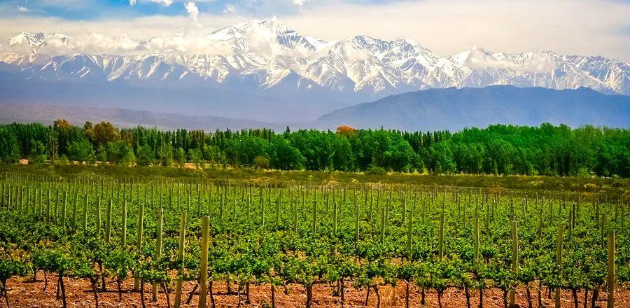 Cover Image for 11 Perfect Presents for the Wine Aficionados in Your Life